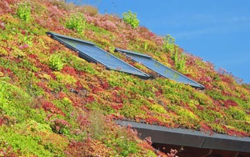Hatley St George living roof systems
